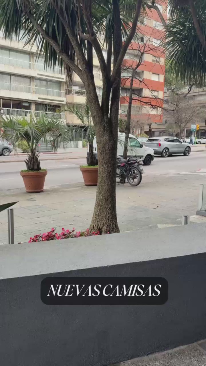 Camisas Alba /Anna