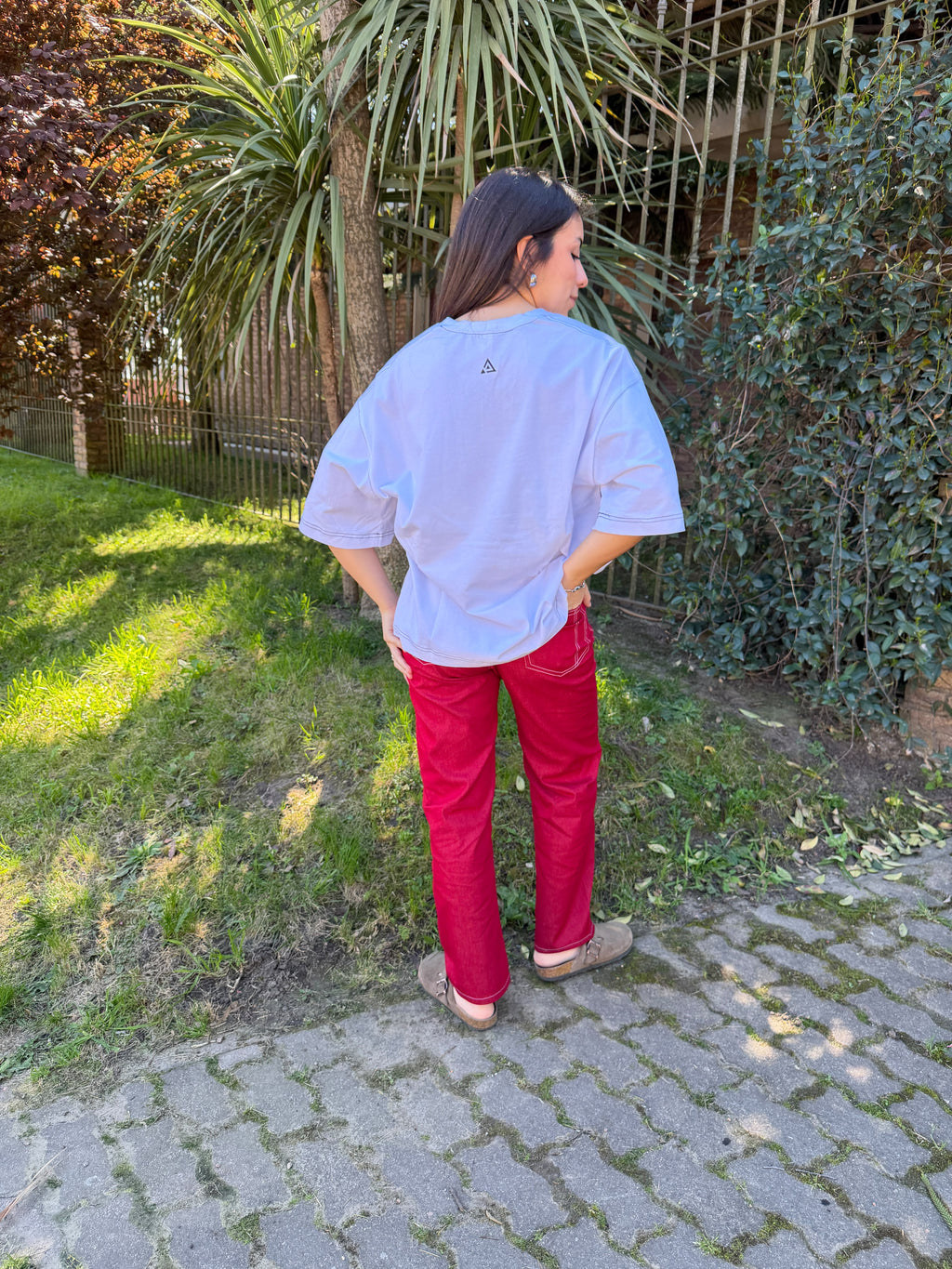 Remeron Sol